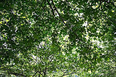 Blackpink成员Lisa成为索尼PlayStation全球代言人