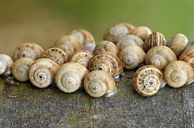 《真三国无双8：帝国》将在TGS公开发售日和新演示